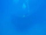 2013-09-17 11-53-50 Johan